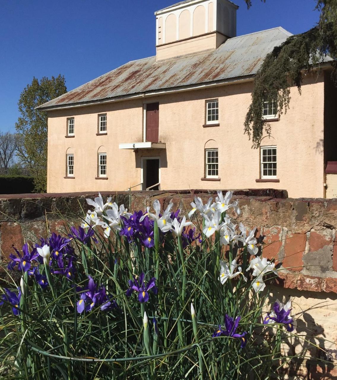 Woolmers Estate Longford المظهر الخارجي الصورة