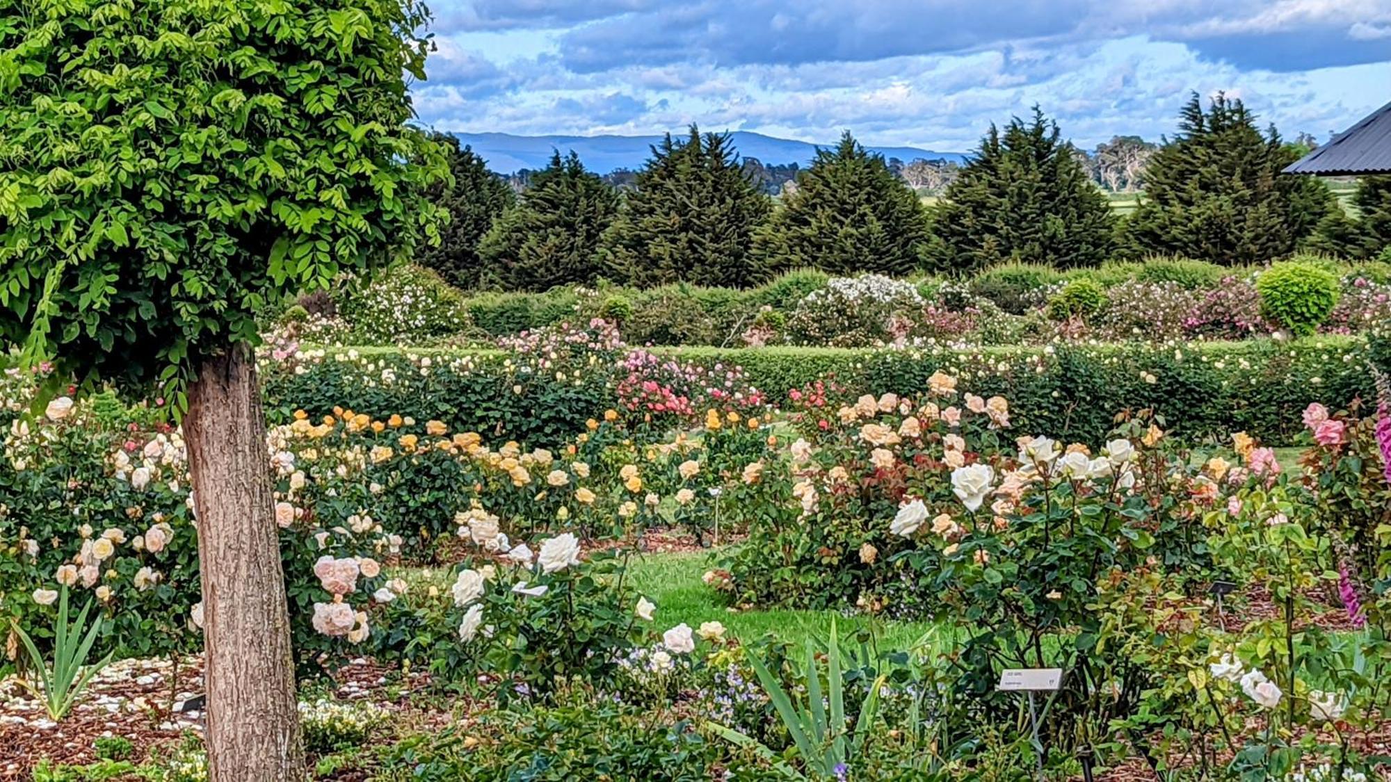 Woolmers Estate Longford المظهر الخارجي الصورة